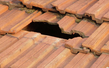 roof repair Stembridge