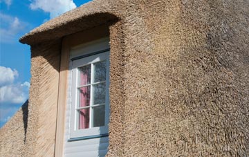 Stembridge thatch roof disadvantages