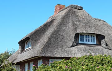 thatch roofing Stembridge